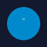 Telegram电报群支持